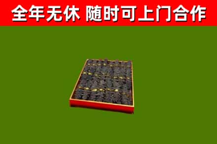 立山回收海参